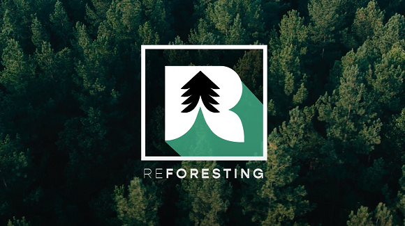 Promo Video - By Reforesting LLC